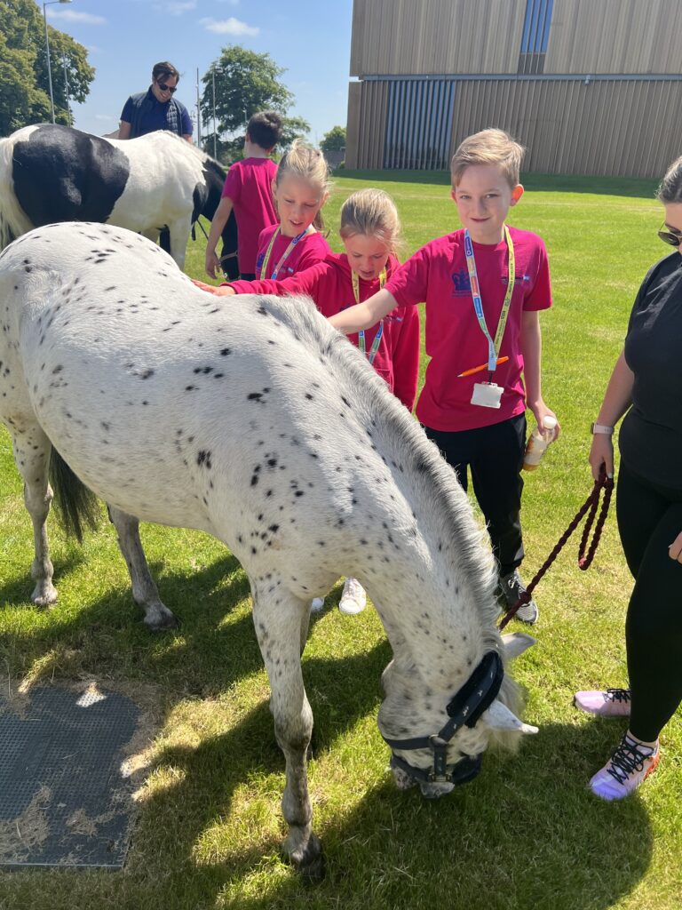 Photo of young people meeting park palace ponies at Alder Hey