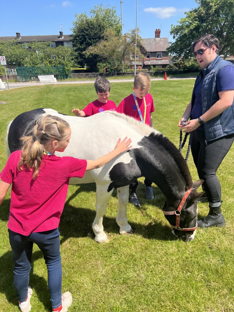 Photo of Young people meeting park palace ponies at Alder Hey