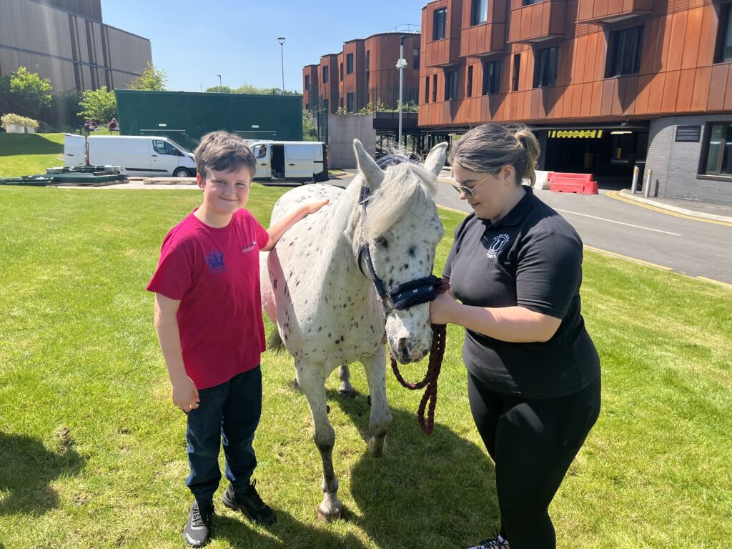 Photo of Young people meeting park palace ponies at Alder Hey