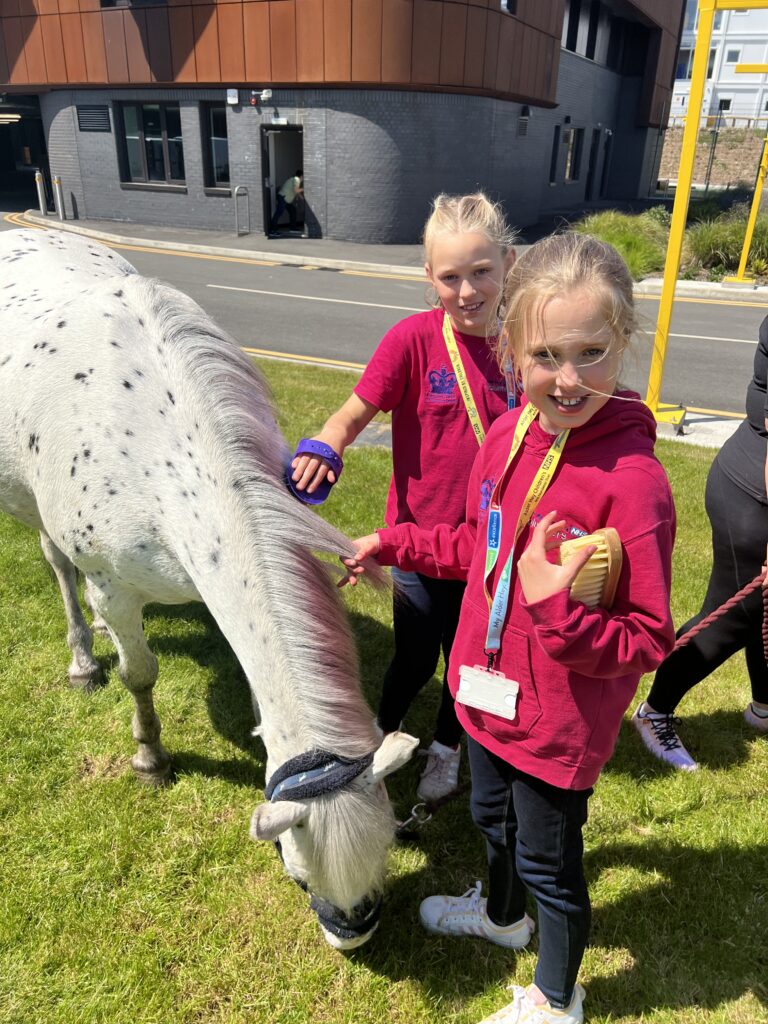 Photo of Young people meeting park palace ponies at Alder Hey