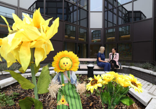 A sunflower toy and real sunflowers, with two women talking in the background on a bench