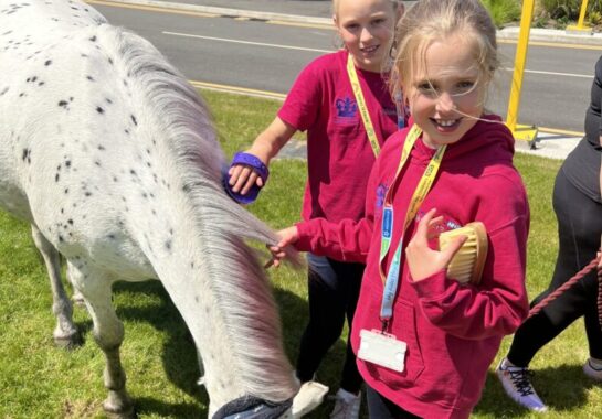 Palace Ponies at Alder Hey