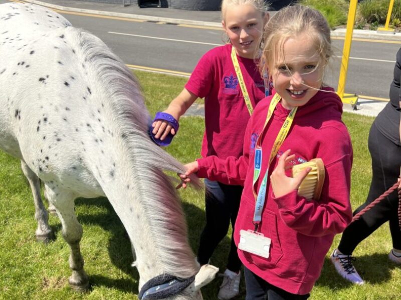 Palace Ponies at Alder Hey