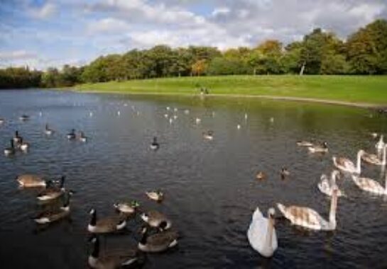 Sefton Park