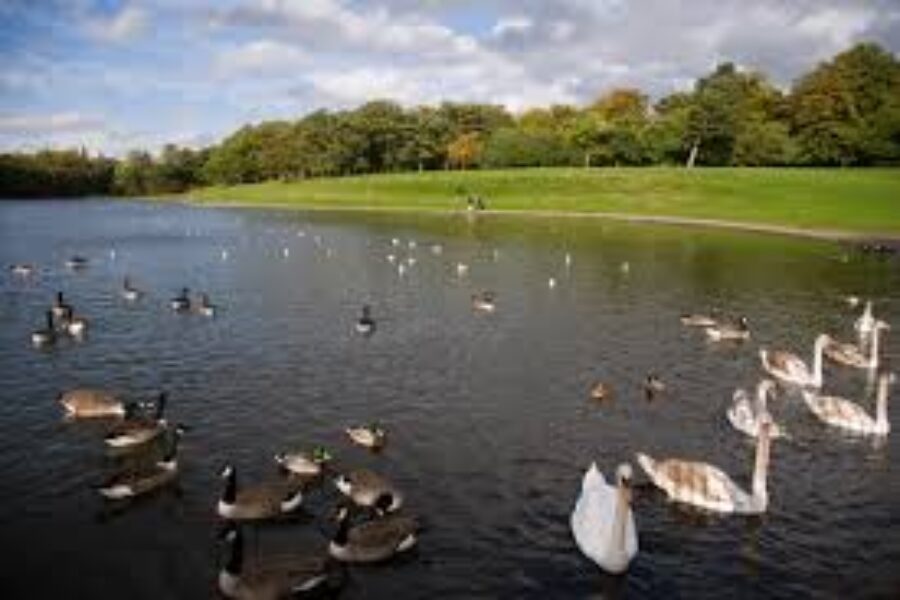 Sefton Park